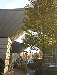 Photos of Surbiton - 2010 - by Eaglecrest Services Limited