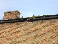 Photos of Surbiton - 2010 - by Eaglecrest Services Limited