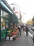 Photos of Surbiton - 2010 - by Eaglecrest Services Limited